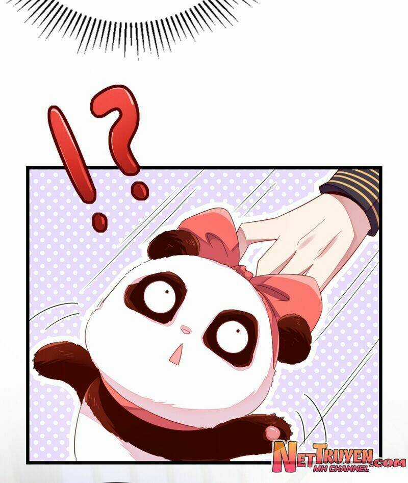 Thiên Thần Gấu Trúc Muốn Được Ôm Chapter 25 trang 5