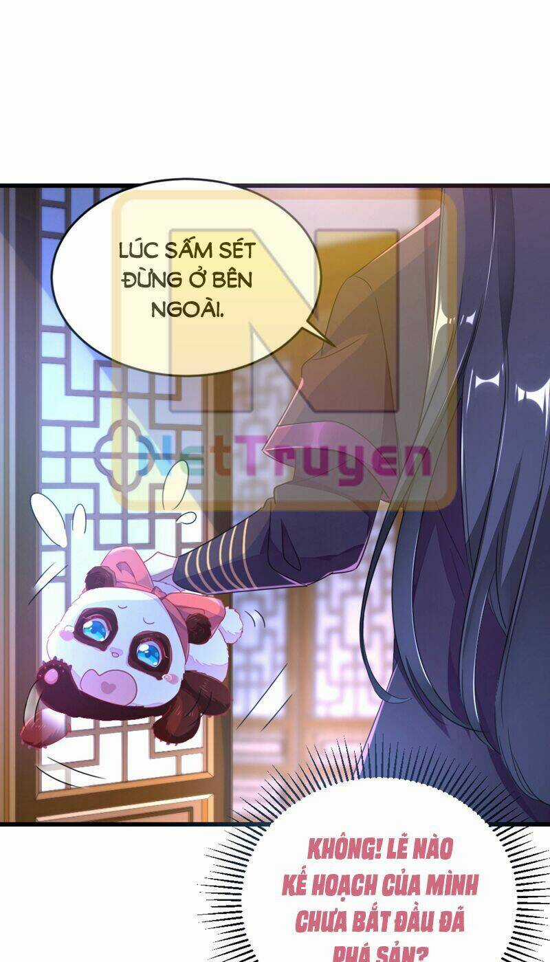 Thiên Thần Gấu Trúc Muốn Được Ôm Chapter 25 trang 7