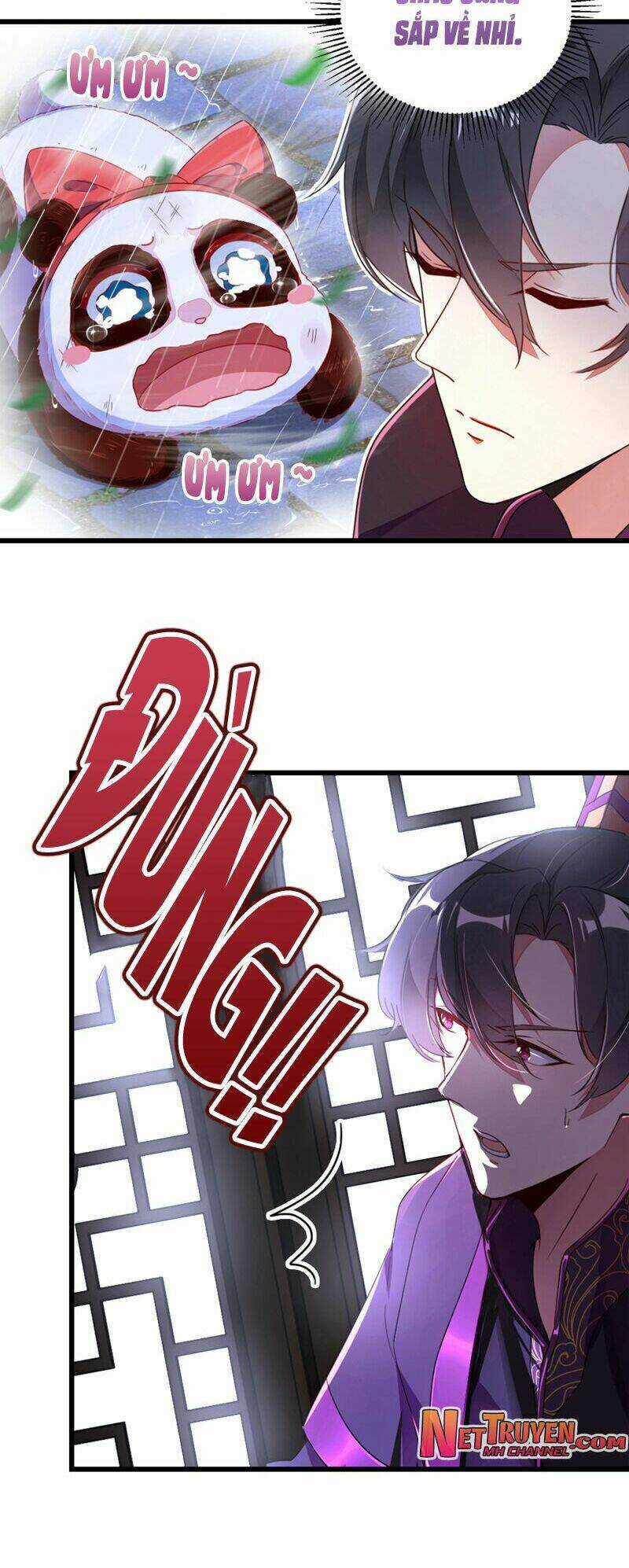 Thiên Thần Gấu Trúc Muốn Được Ôm Chapter 26 trang 6