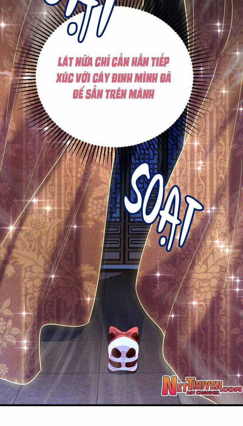 Thiên Thần Gấu Trúc Muốn Được Ôm Chapter 26 trang 9