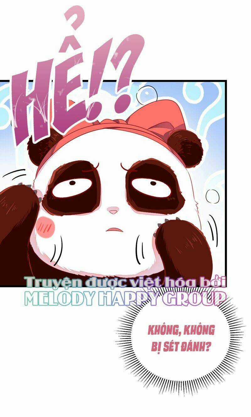 Thiên Thần Gấu Trúc Muốn Được Ôm Chapter 27 trang 6