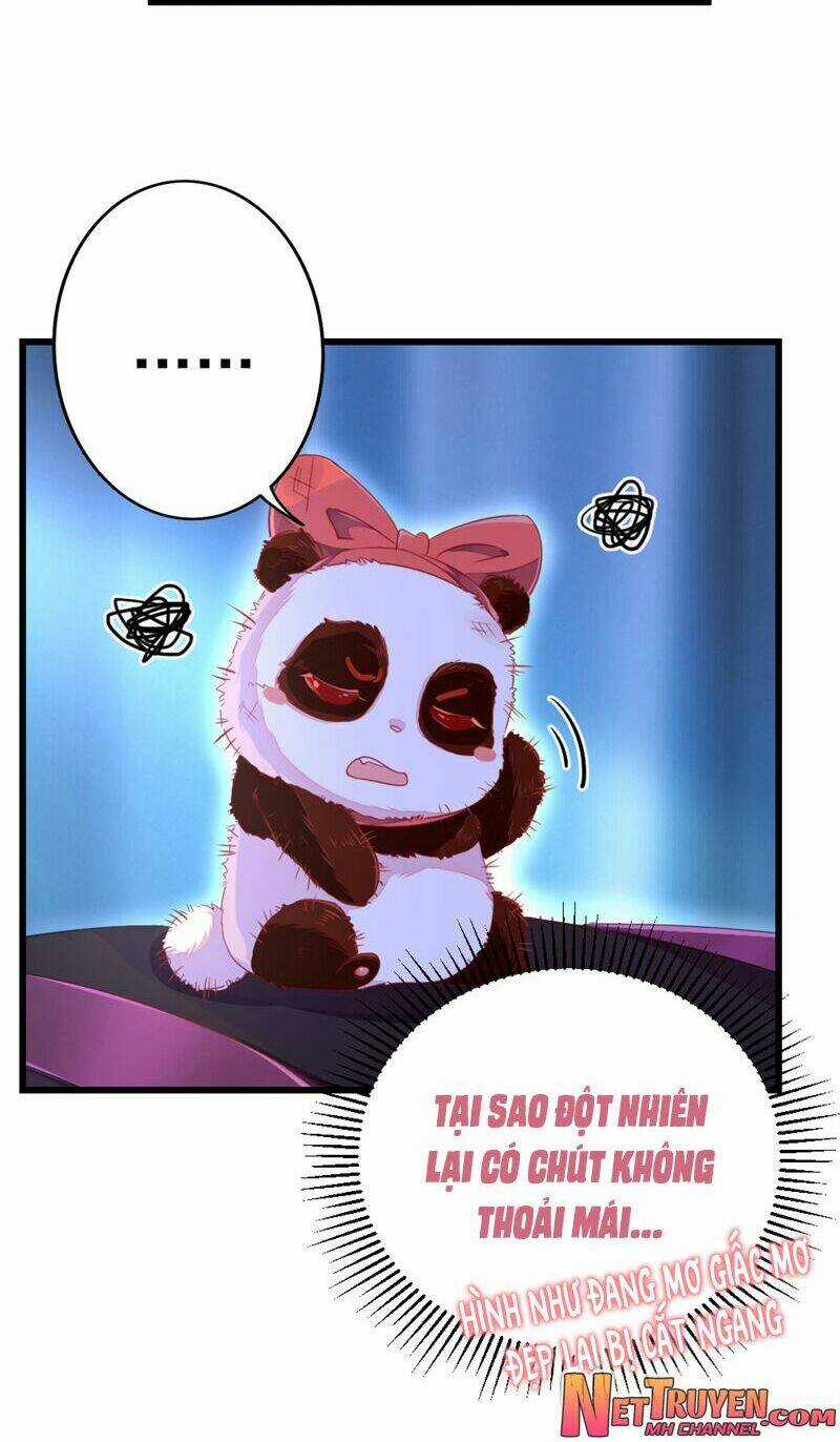 Thiên Thần Gấu Trúc Muốn Được Ôm Chapter 28 trang 11