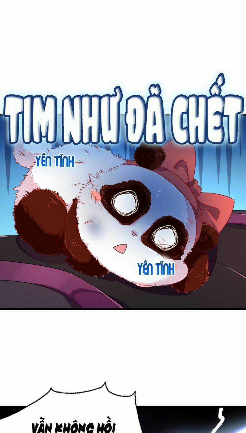 Thiên Thần Gấu Trúc Muốn Được Ôm Chapter 28 trang 14