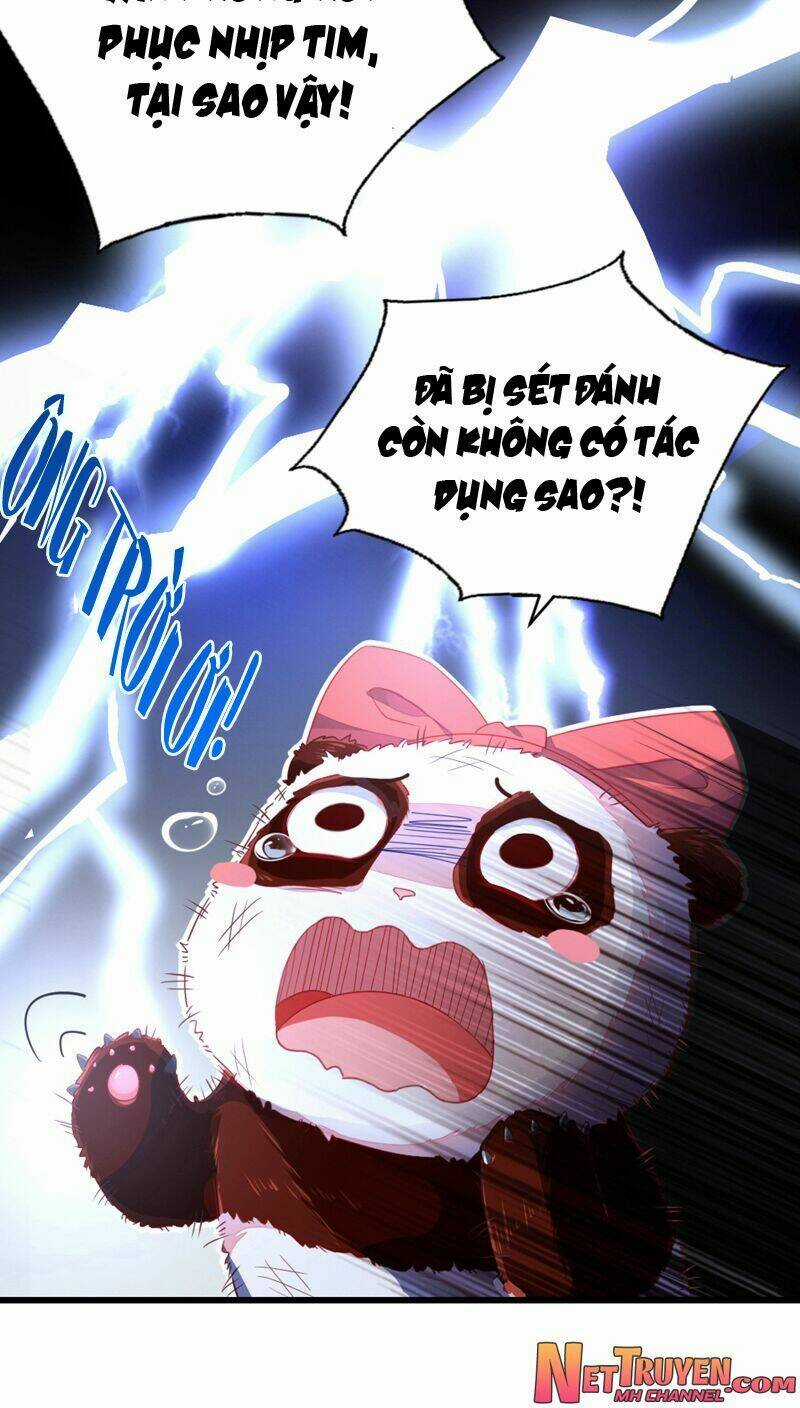 Thiên Thần Gấu Trúc Muốn Được Ôm Chapter 28 trang 15