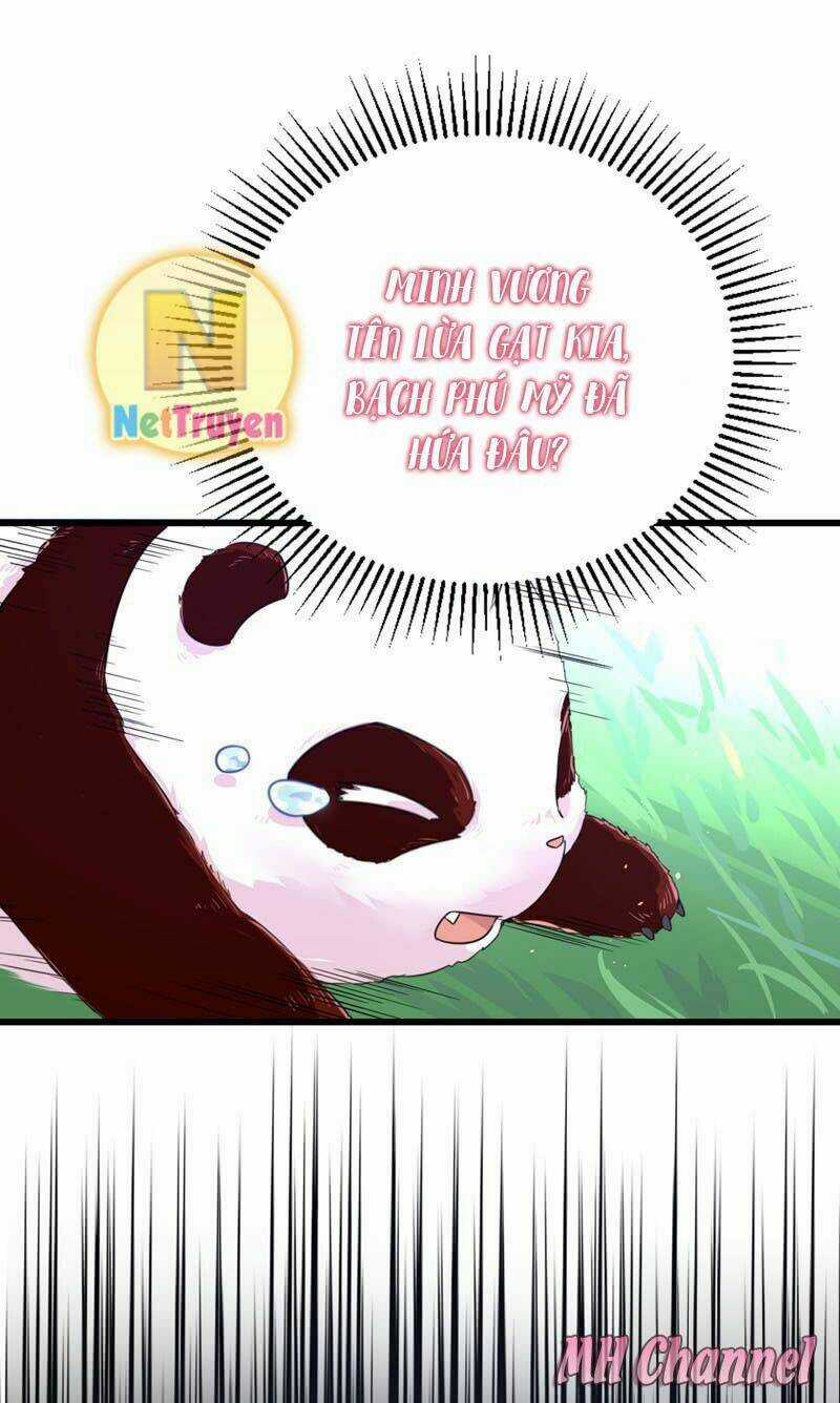 Thiên Thần Gấu Trúc Muốn Được Ôm Chapter 3 trang 12