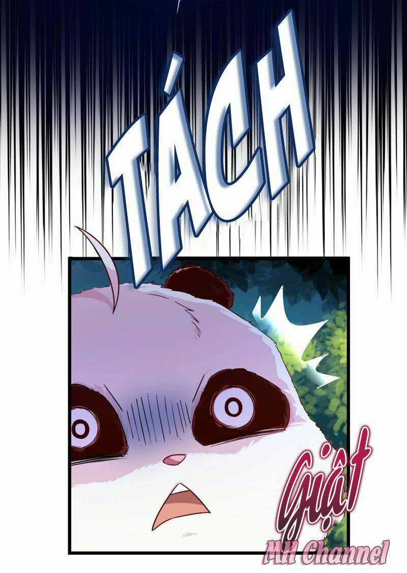 Thiên Thần Gấu Trúc Muốn Được Ôm Chapter 3 trang 18