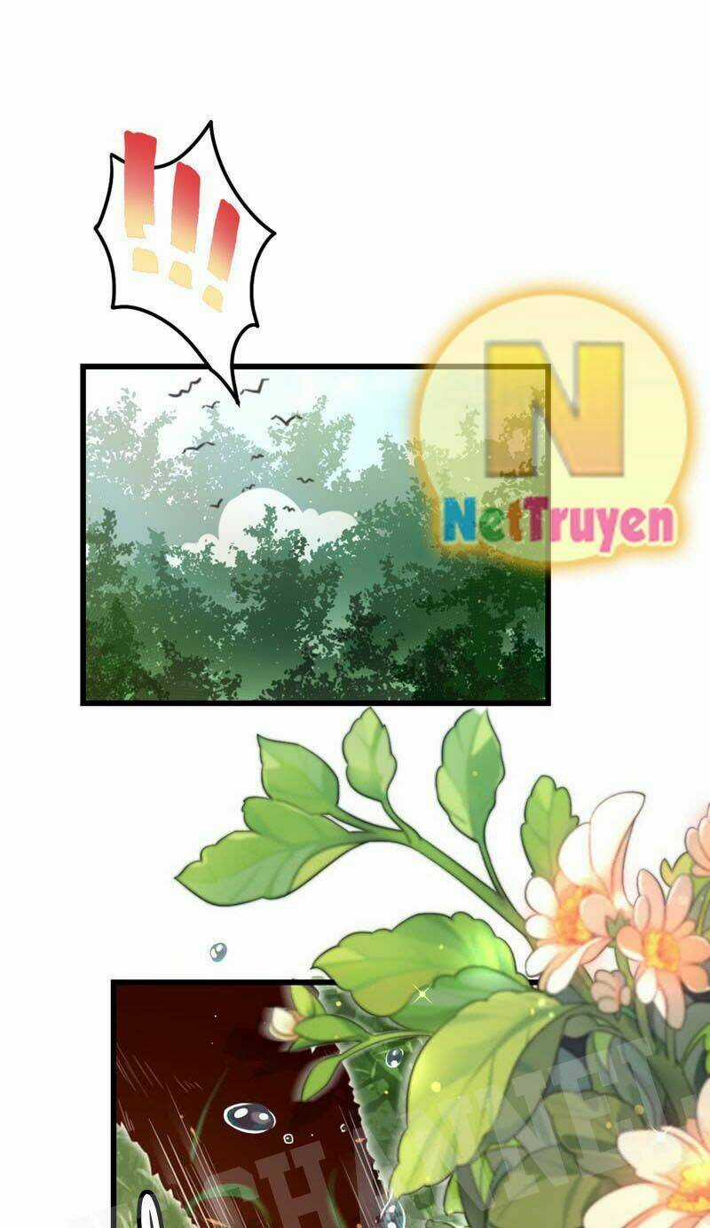 Thiên Thần Gấu Trúc Muốn Được Ôm Chapter 3 trang 3