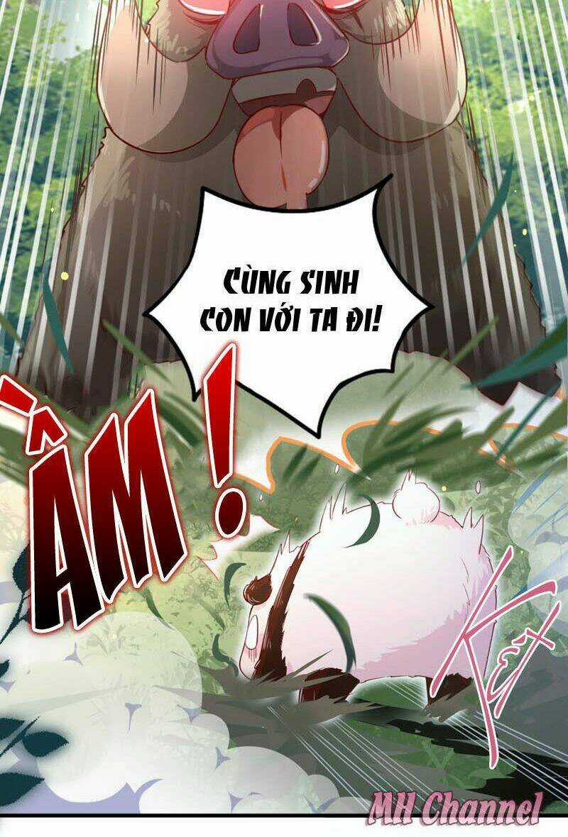 Thiên Thần Gấu Trúc Muốn Được Ôm Chapter 3 trang 9