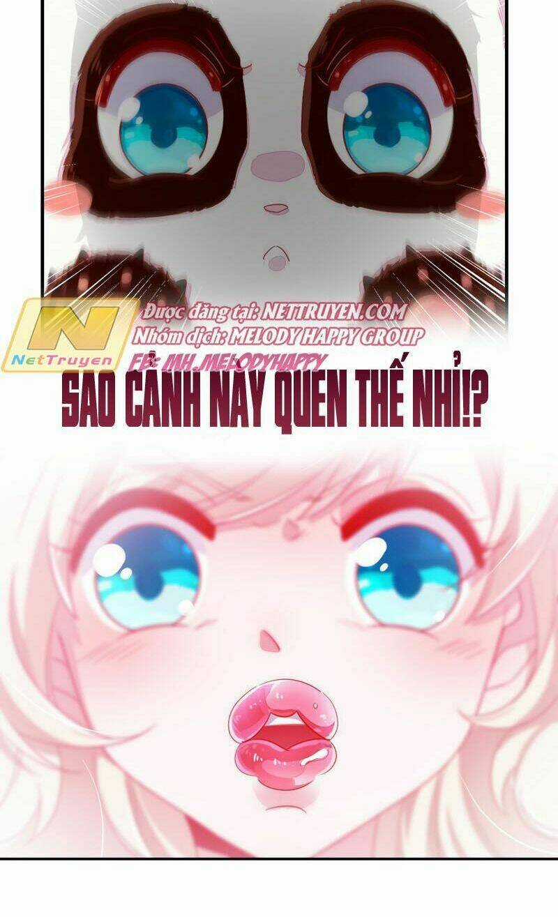 Thiên Thần Gấu Trúc Muốn Được Ôm Chapter 39 trang 10