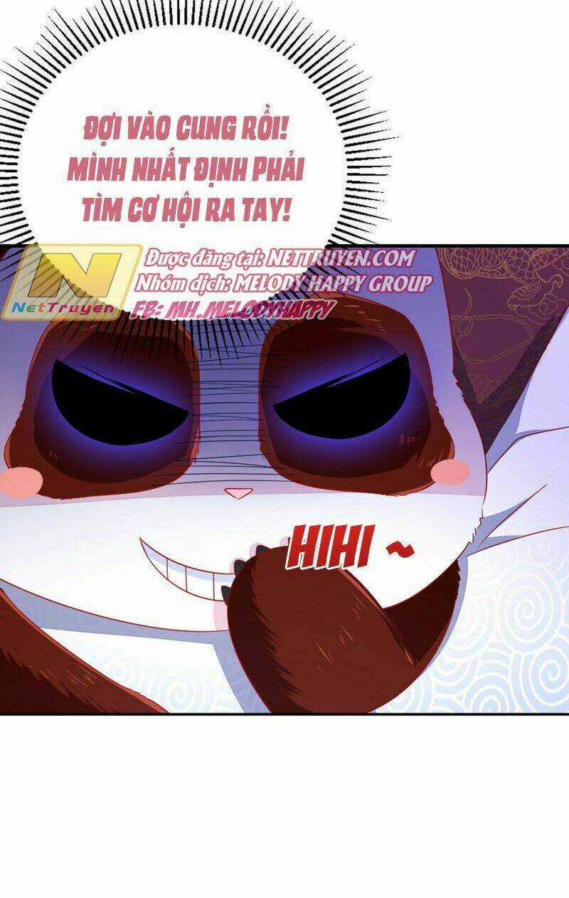 Thiên Thần Gấu Trúc Muốn Được Ôm Chapter 39 trang 16