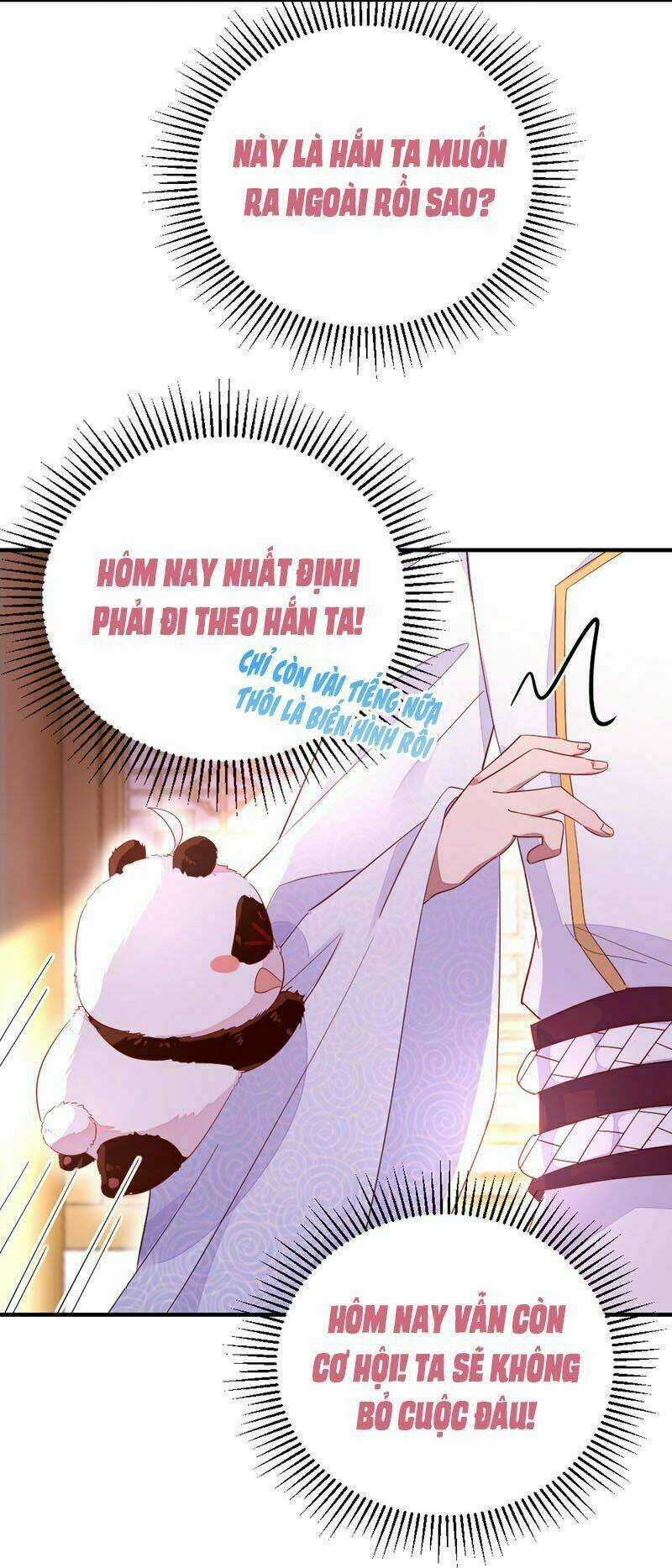 Thiên Thần Gấu Trúc Muốn Được Ôm Chapter 39 trang 3