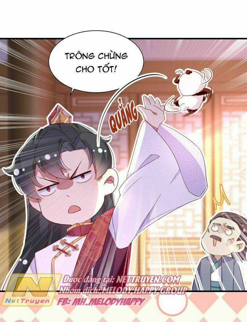 Thiên Thần Gấu Trúc Muốn Được Ôm Chapter 39 trang 5