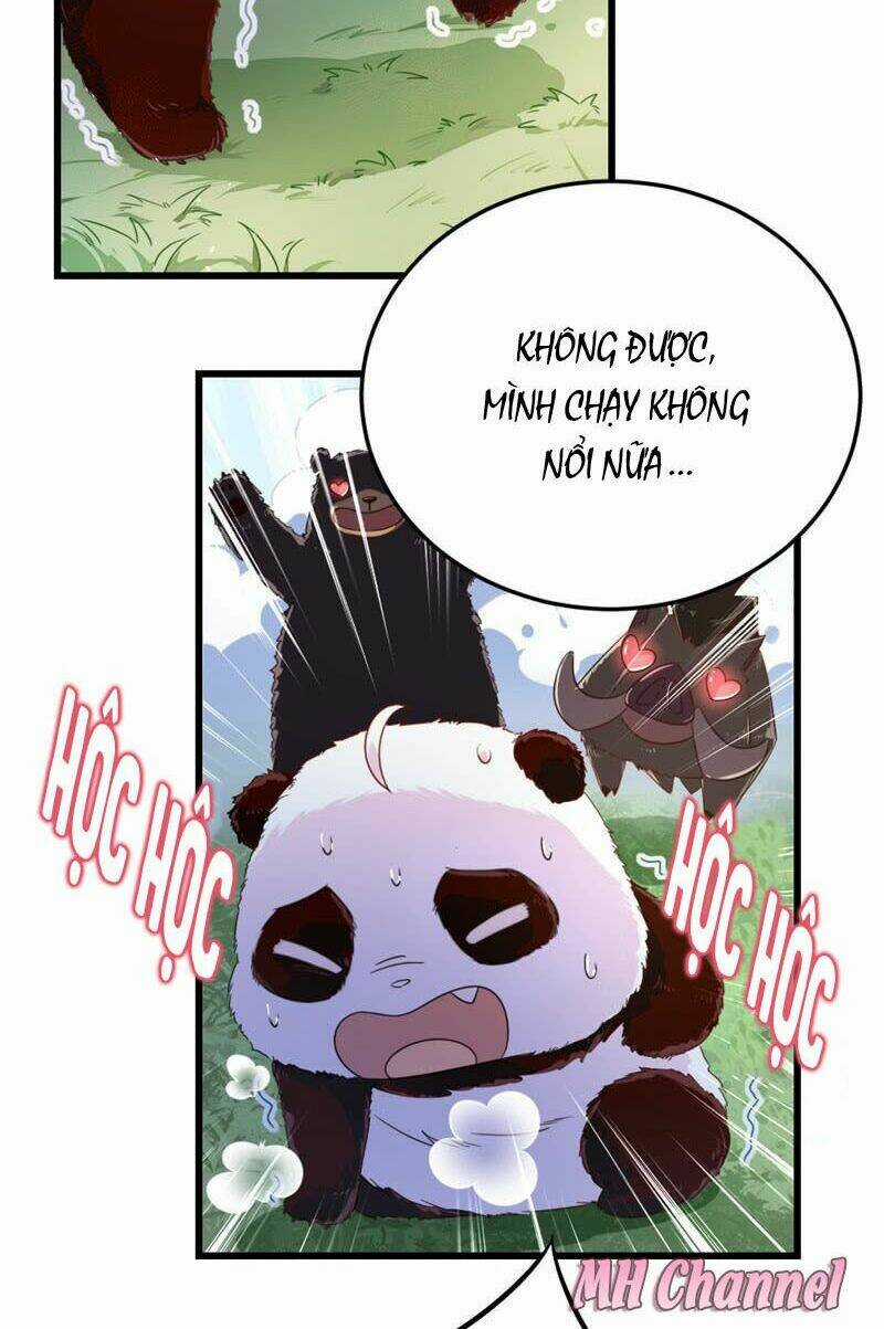 Thiên Thần Gấu Trúc Muốn Được Ôm Chapter 4 trang 12