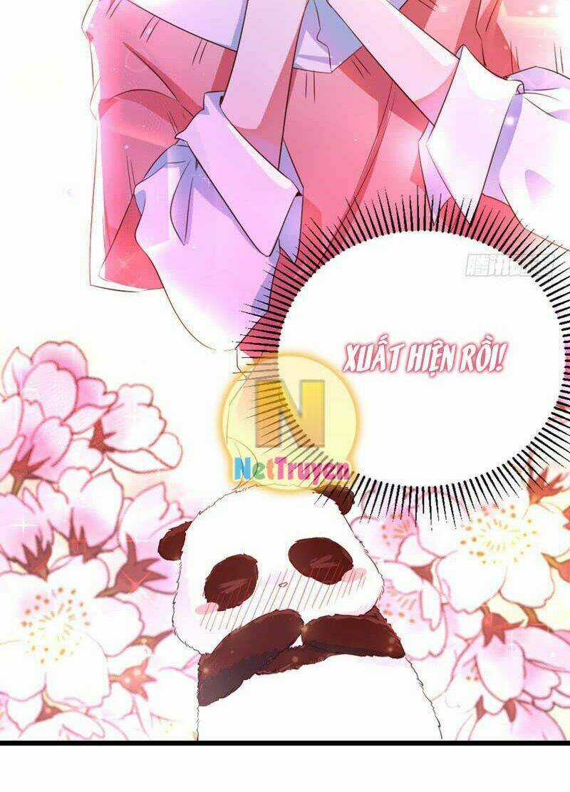 Thiên Thần Gấu Trúc Muốn Được Ôm Chapter 4 trang 21