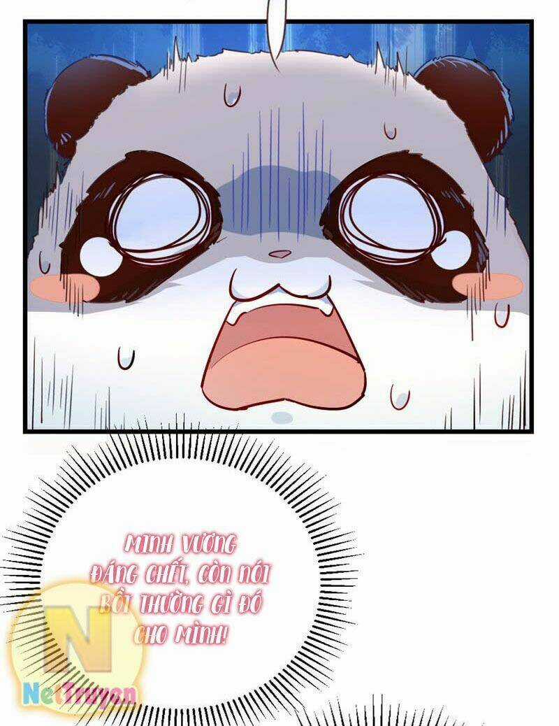 Thiên Thần Gấu Trúc Muốn Được Ôm Chapter 4 trang 3