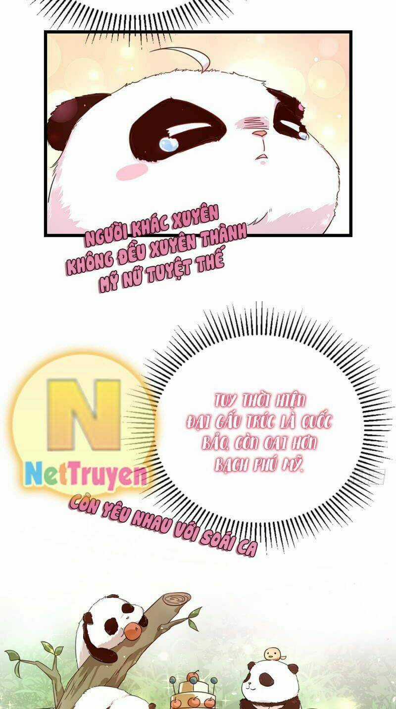 Thiên Thần Gấu Trúc Muốn Được Ôm Chapter 4 trang 5