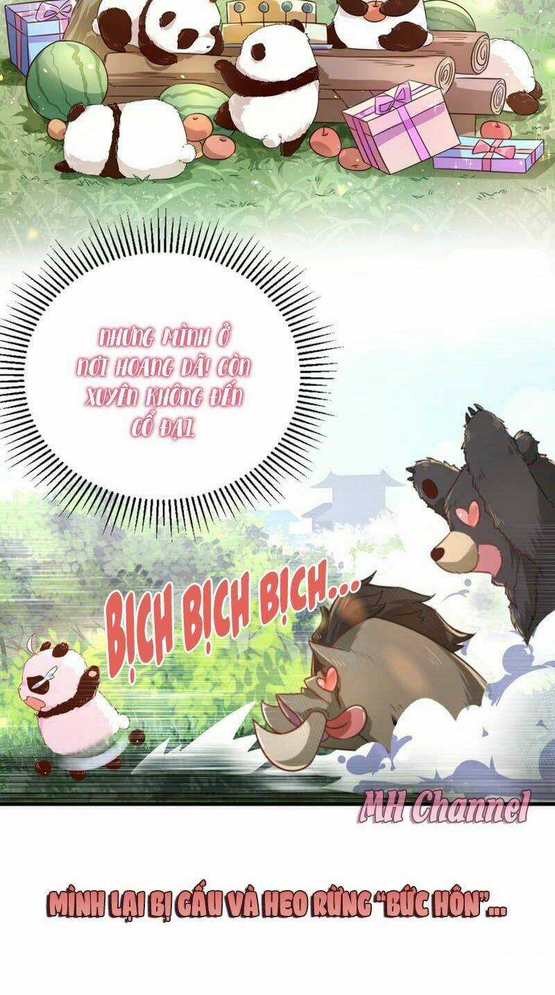 Thiên Thần Gấu Trúc Muốn Được Ôm Chapter 4 trang 6