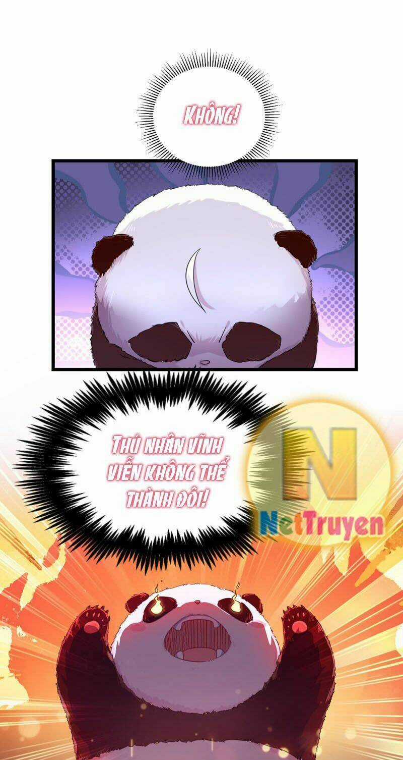 Thiên Thần Gấu Trúc Muốn Được Ôm Chapter 4 trang 7