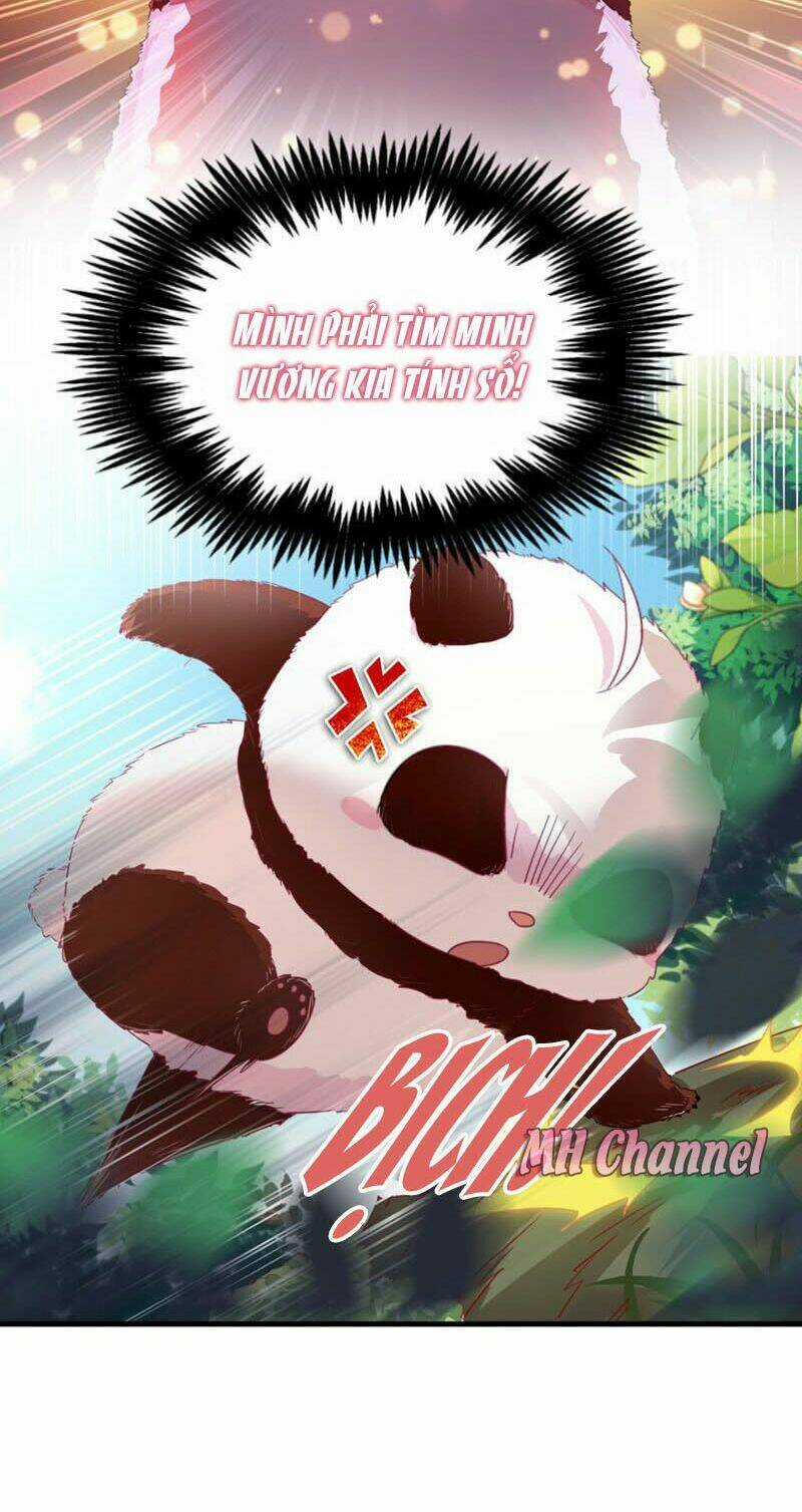 Thiên Thần Gấu Trúc Muốn Được Ôm Chapter 4 trang 8