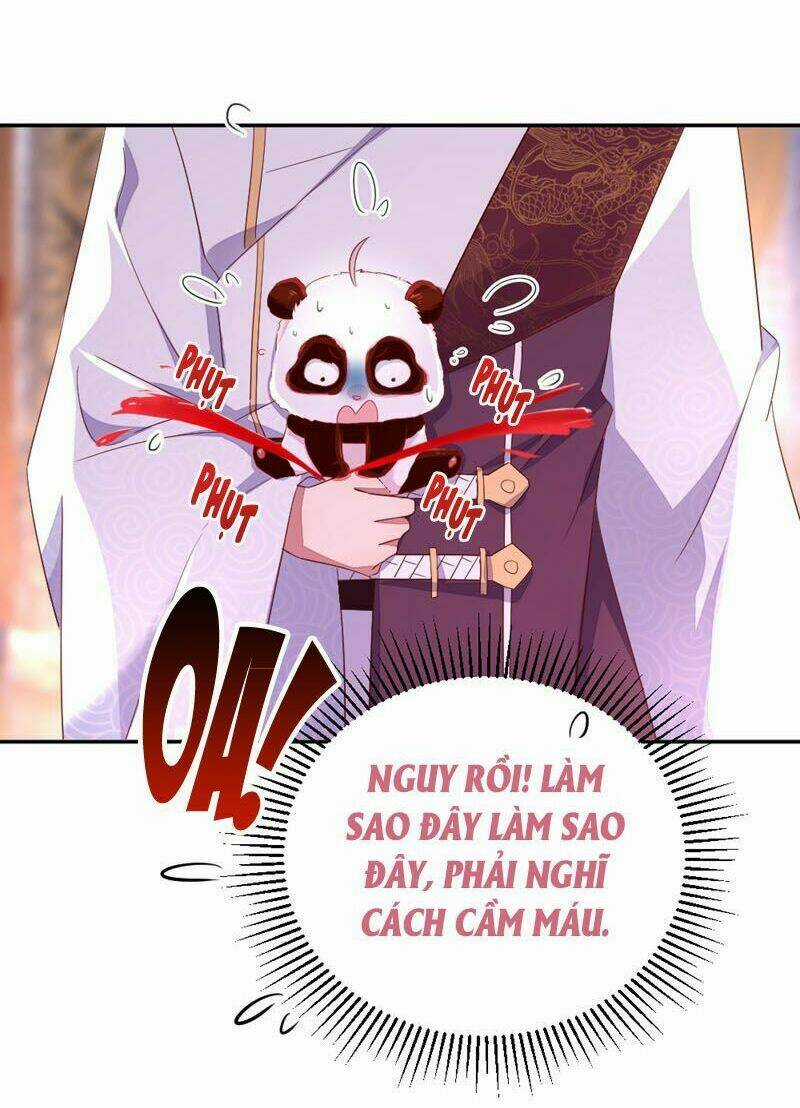 Thiên Thần Gấu Trúc Muốn Được Ôm Chapter 41 trang 11