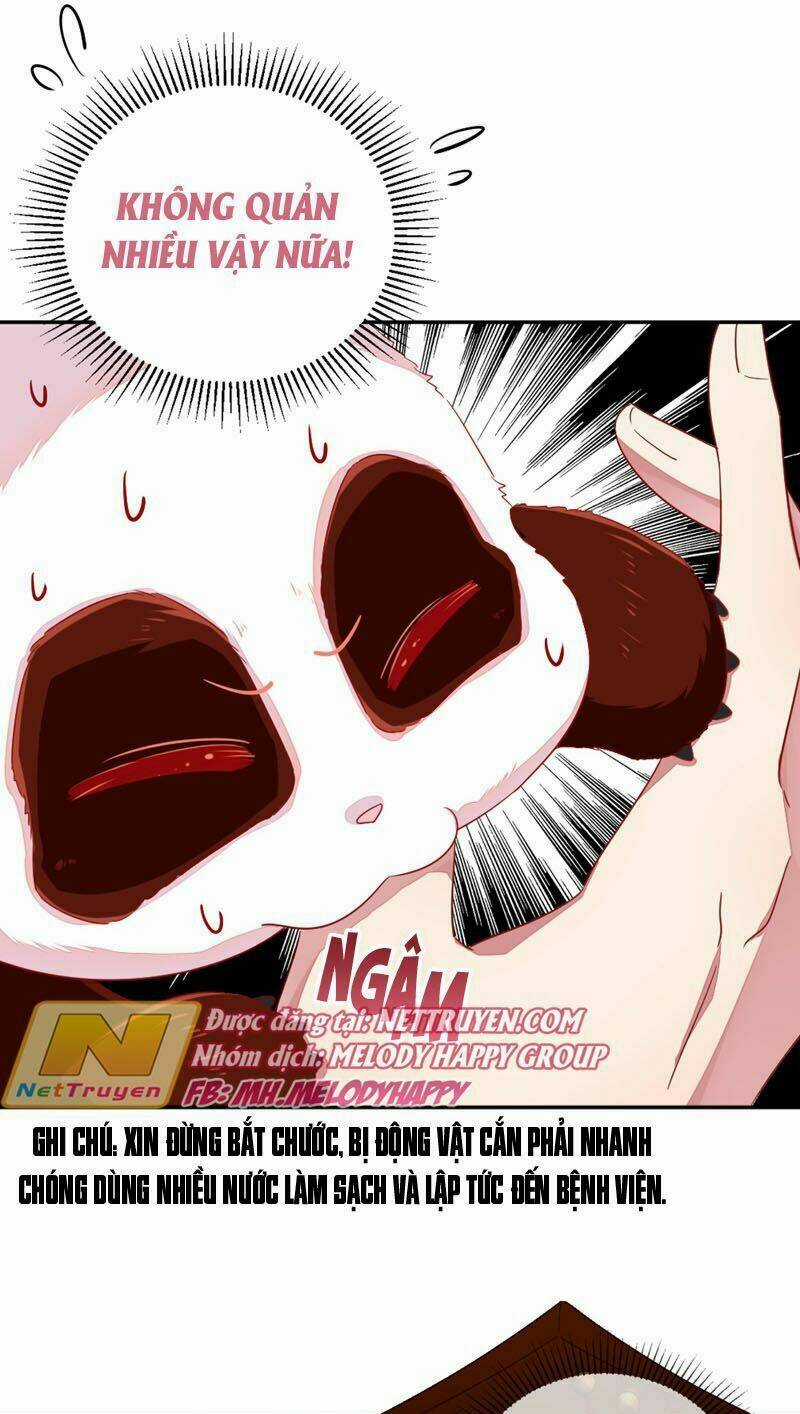 Thiên Thần Gấu Trúc Muốn Được Ôm Chapter 41 trang 12