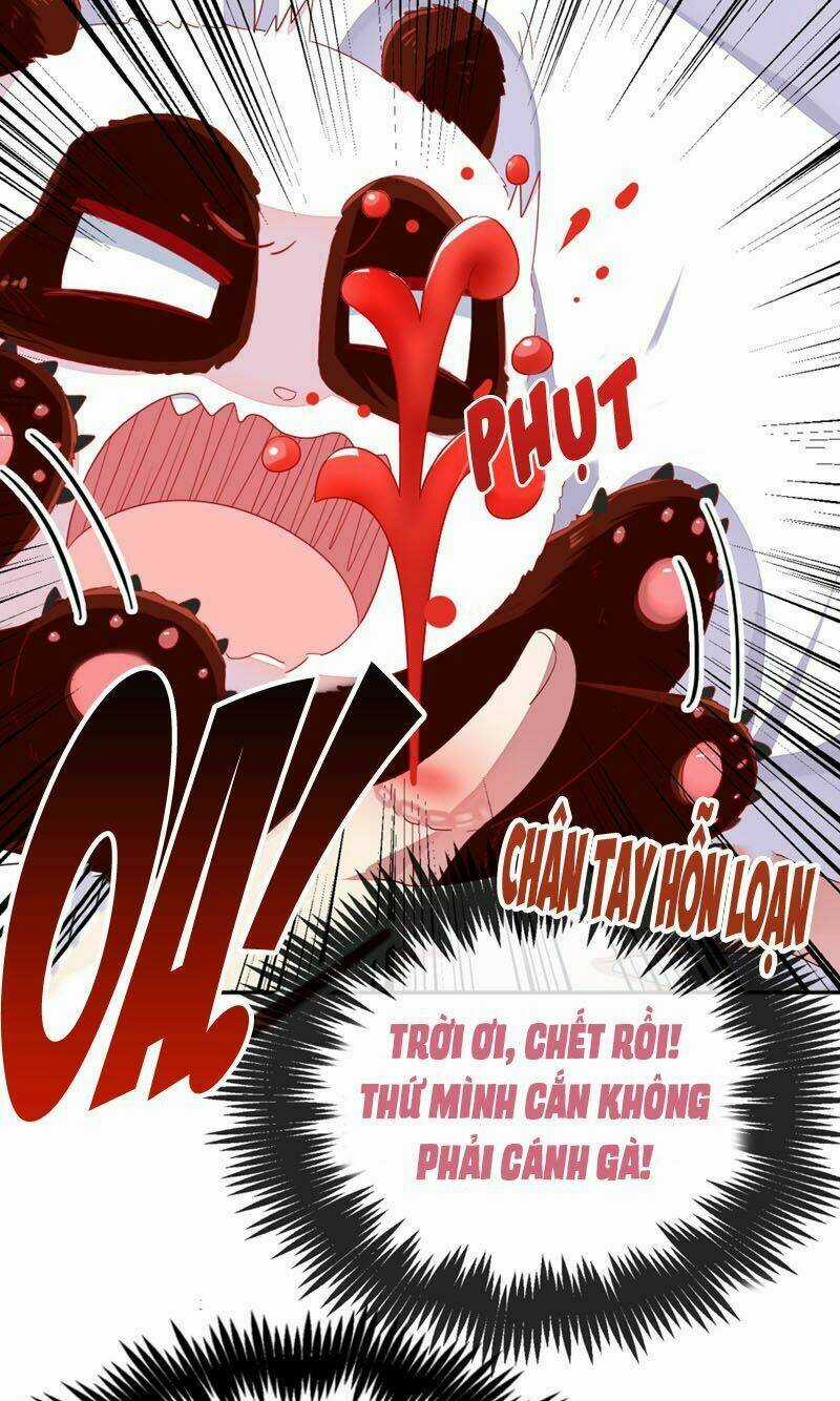 Thiên Thần Gấu Trúc Muốn Được Ôm Chapter 41 trang 18