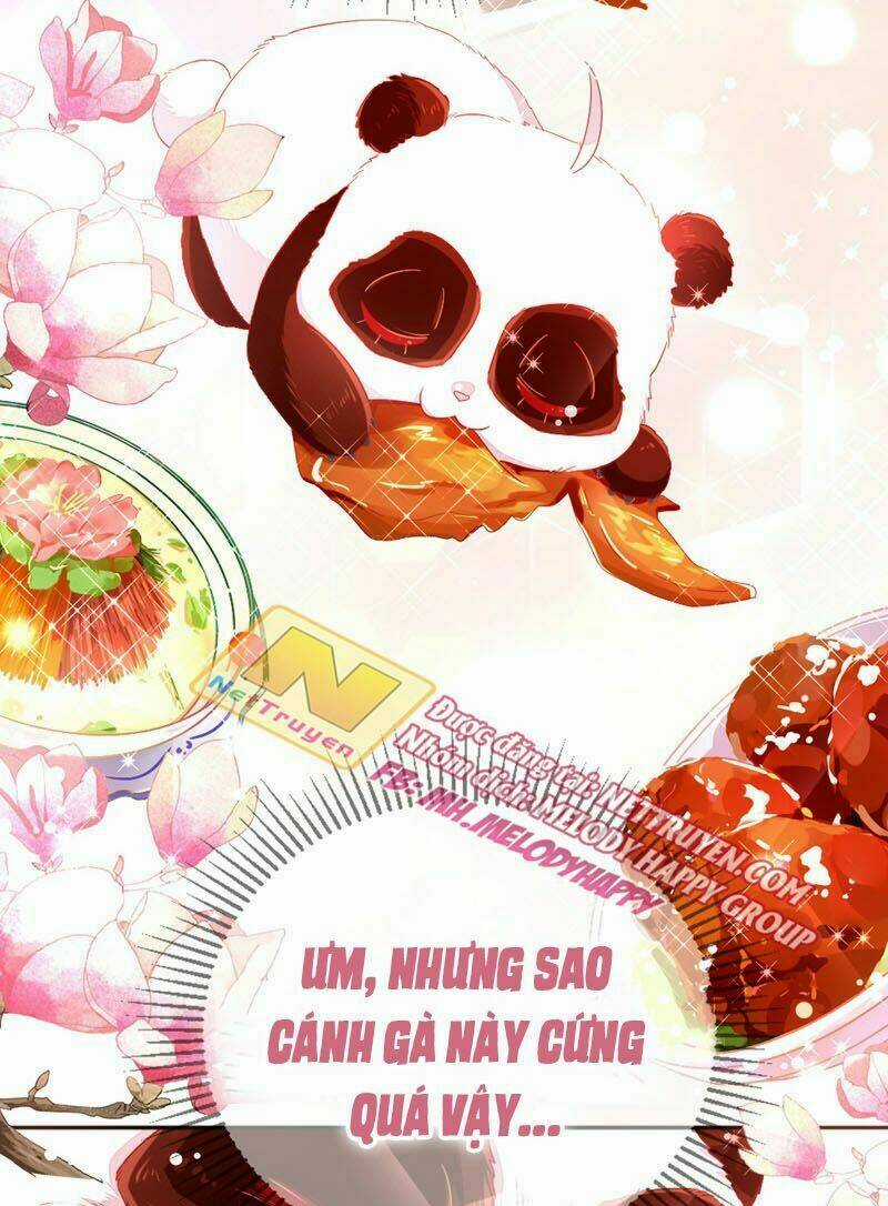 Thiên Thần Gấu Trúc Muốn Được Ôm Chapter 41 trang 4