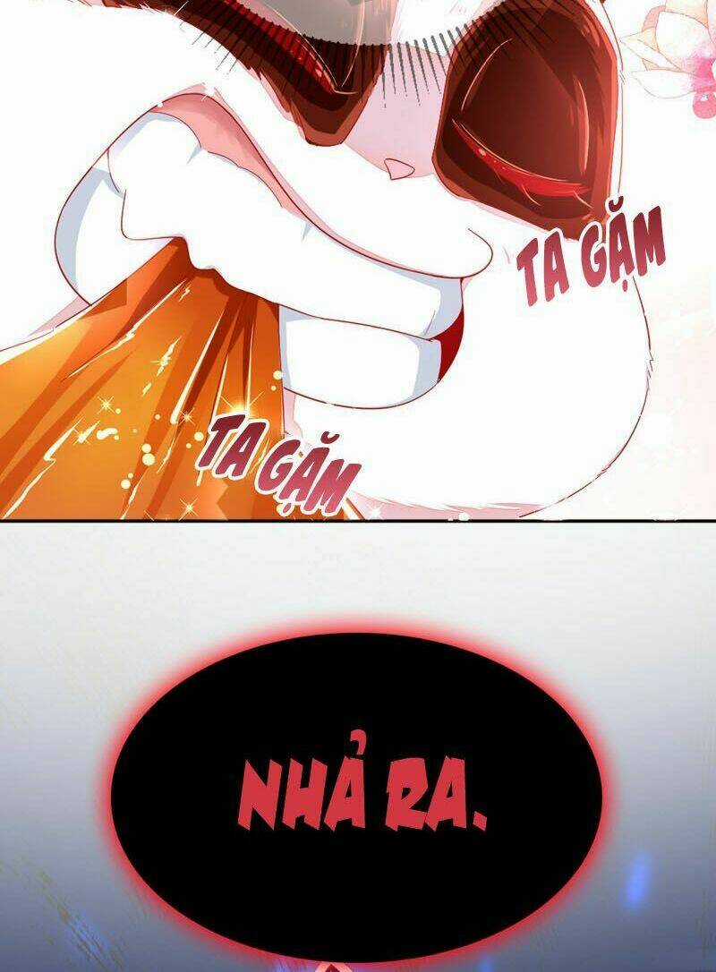 Thiên Thần Gấu Trúc Muốn Được Ôm Chapter 41 trang 5