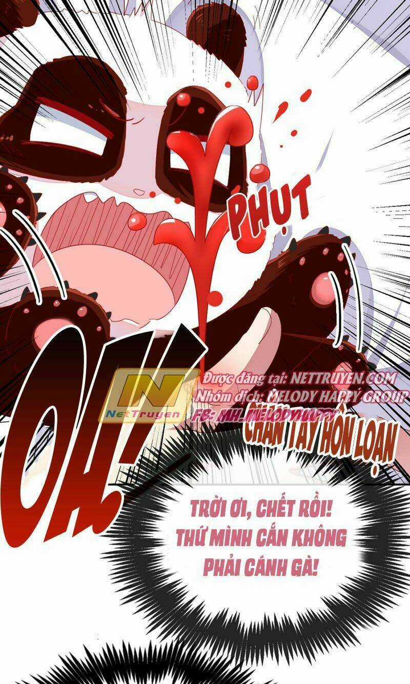 Thiên Thần Gấu Trúc Muốn Được Ôm Chapter 41 trang 8