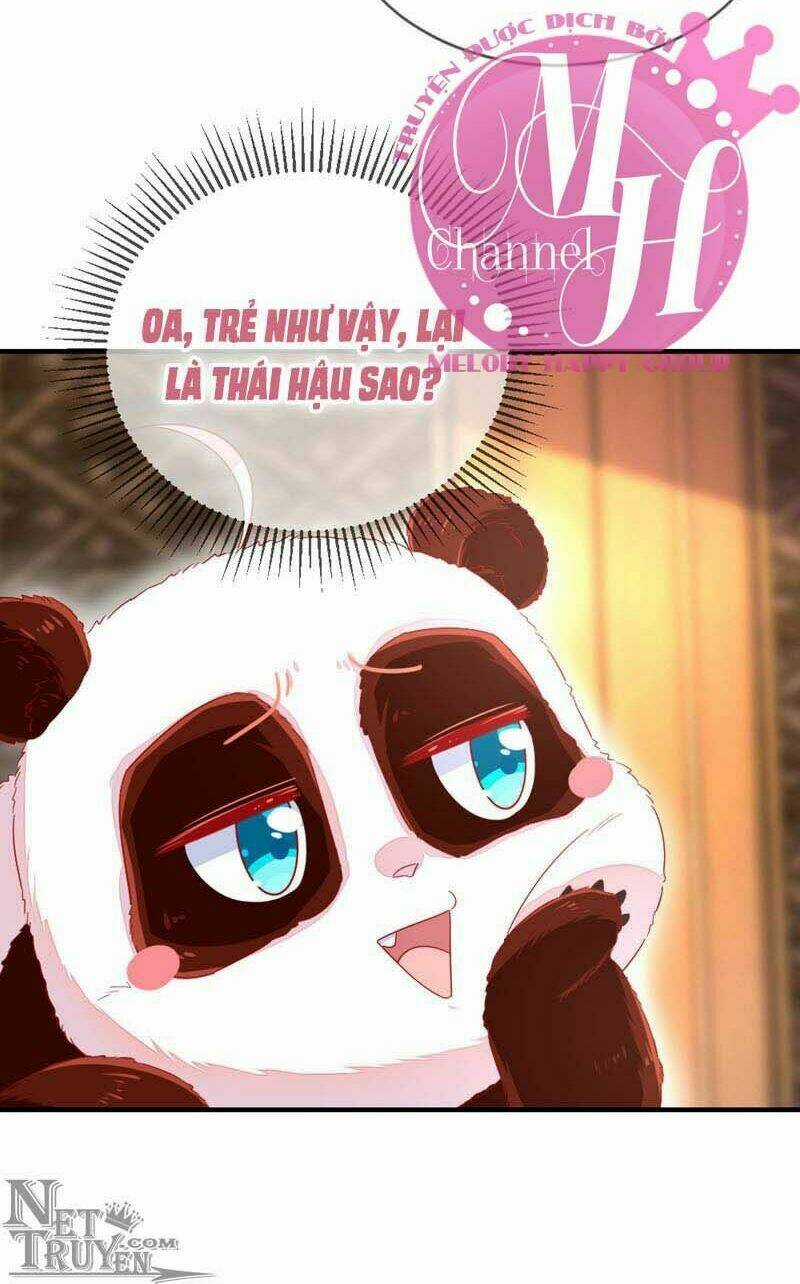 Thiên Thần Gấu Trúc Muốn Được Ôm Chapter 42 trang 19