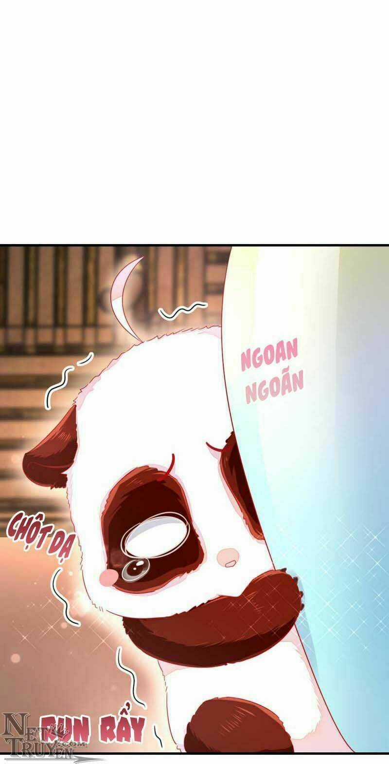 Thiên Thần Gấu Trúc Muốn Được Ôm Chapter 42 trang 3