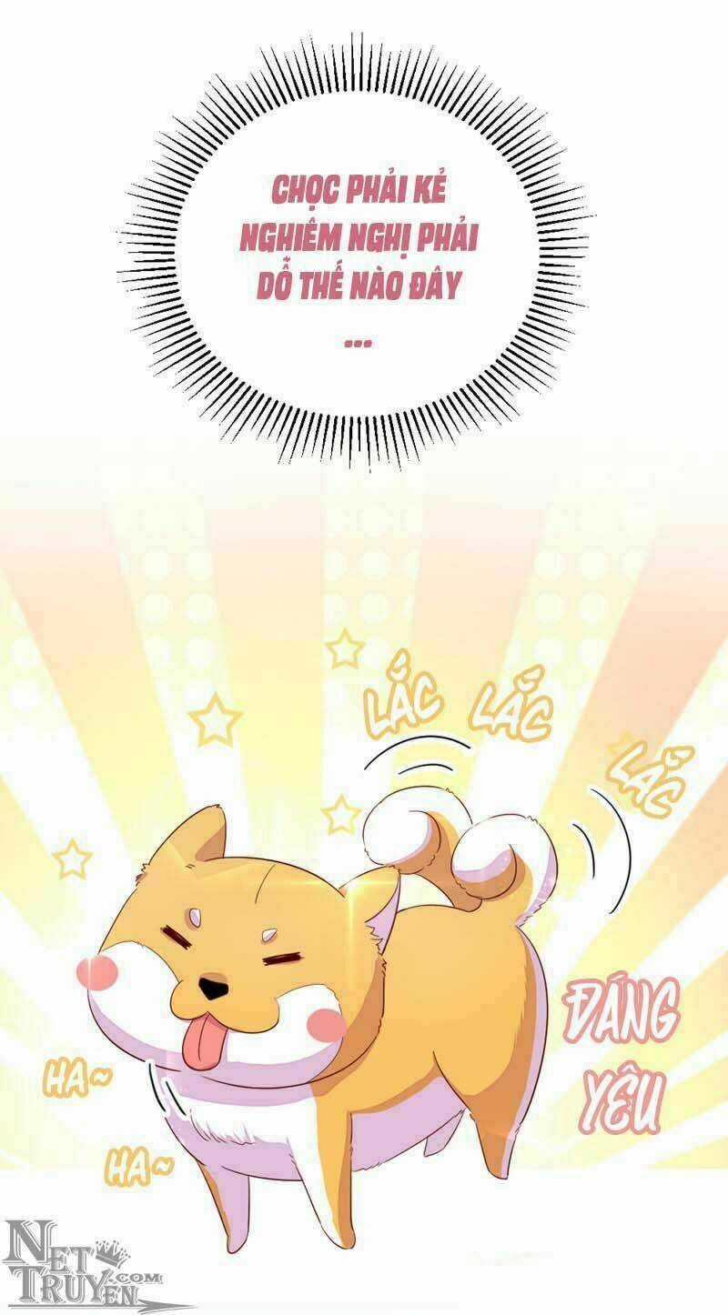 Thiên Thần Gấu Trúc Muốn Được Ôm Chapter 42 trang 5
