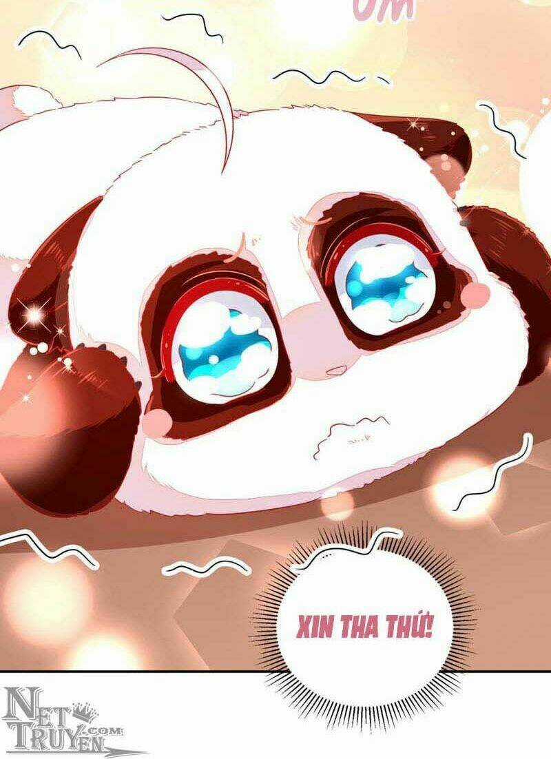 Thiên Thần Gấu Trúc Muốn Được Ôm Chapter 42 trang 9