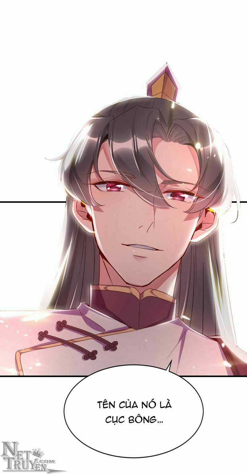 Thiên Thần Gấu Trúc Muốn Được Ôm Chapter 43 trang 11