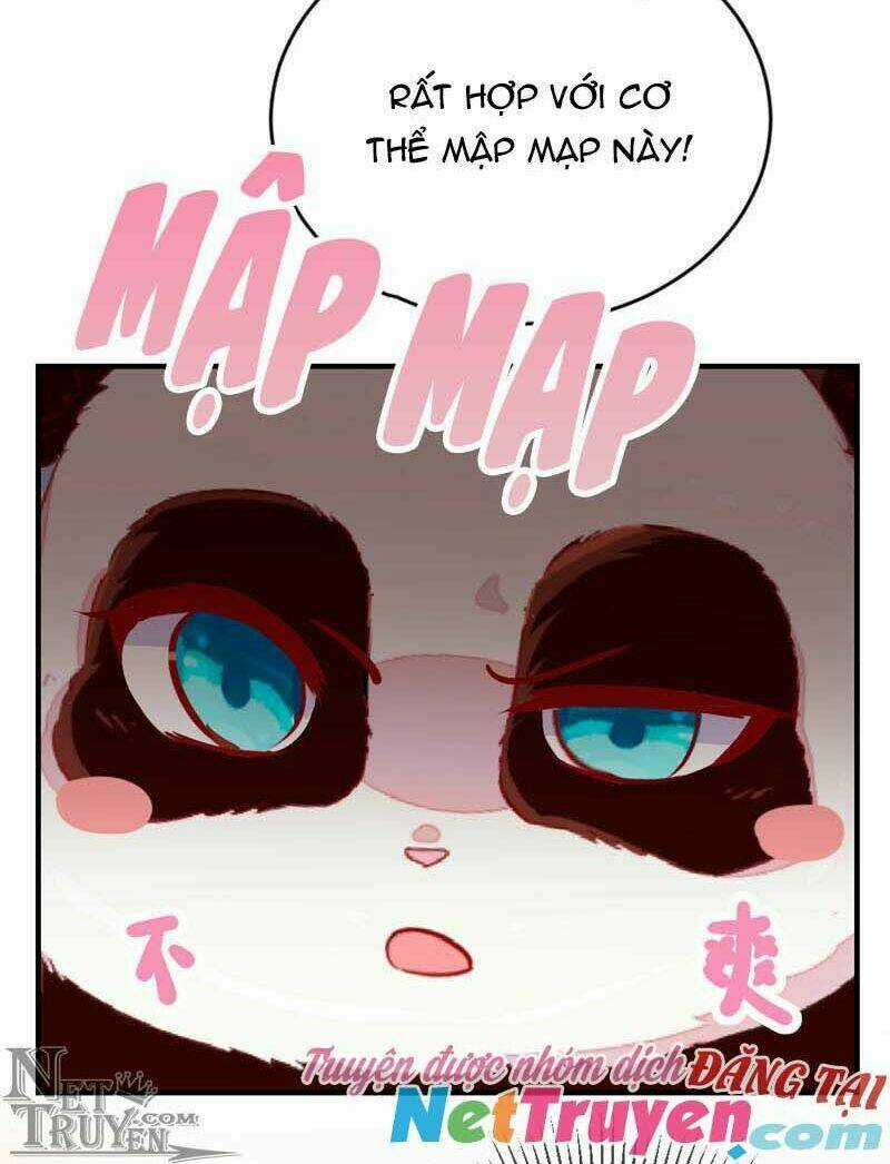 Thiên Thần Gấu Trúc Muốn Được Ôm Chapter 43 trang 15