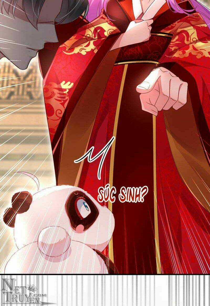 Thiên Thần Gấu Trúc Muốn Được Ôm Chapter 43 trang 3