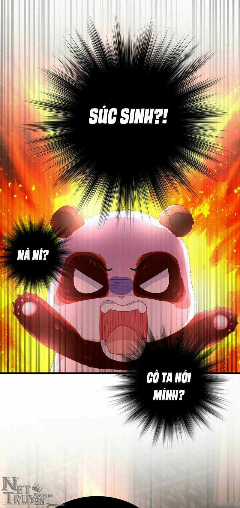 Thiên Thần Gấu Trúc Muốn Được Ôm Chapter 43 trang 4