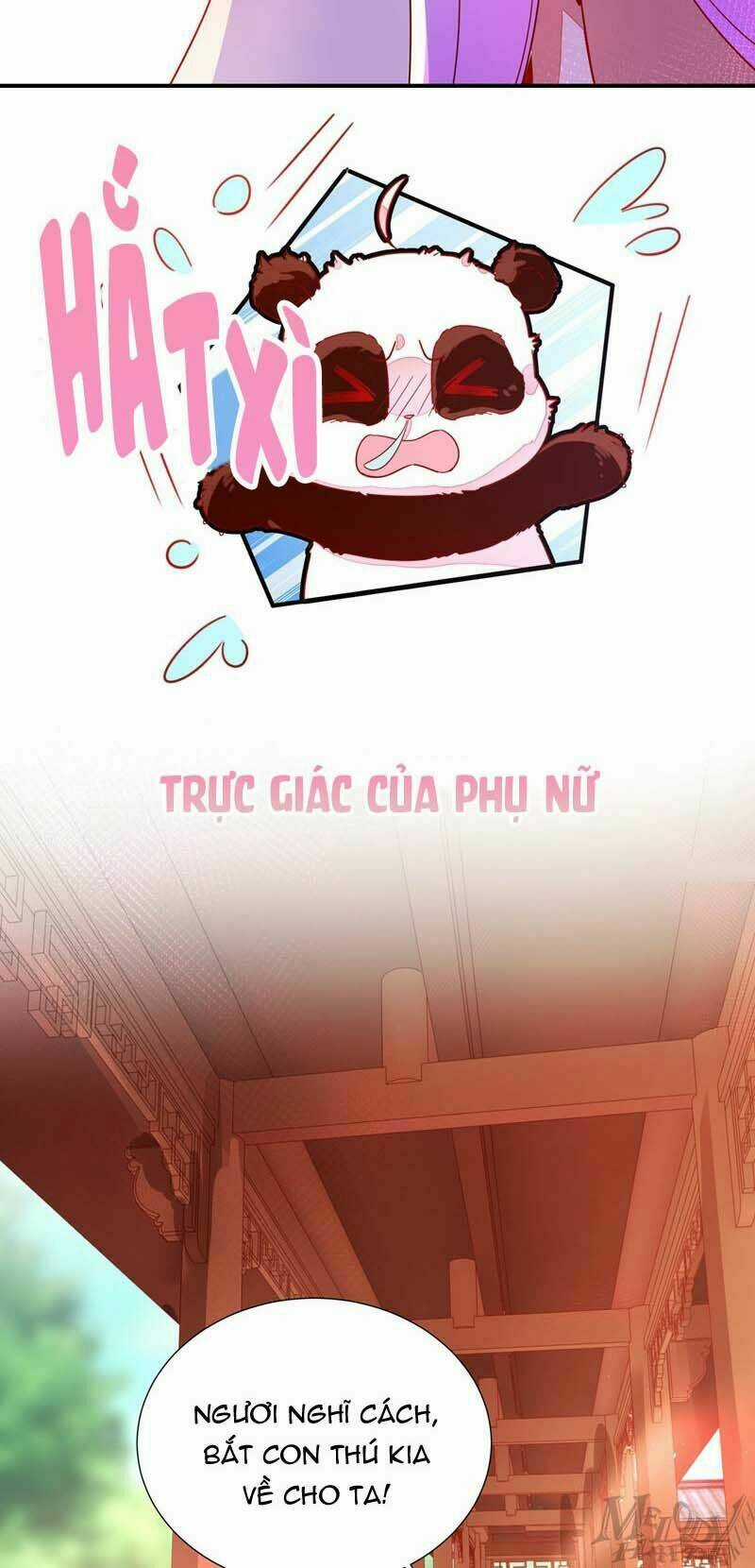 Thiên Thần Gấu Trúc Muốn Được Ôm Chapter 44 trang 17