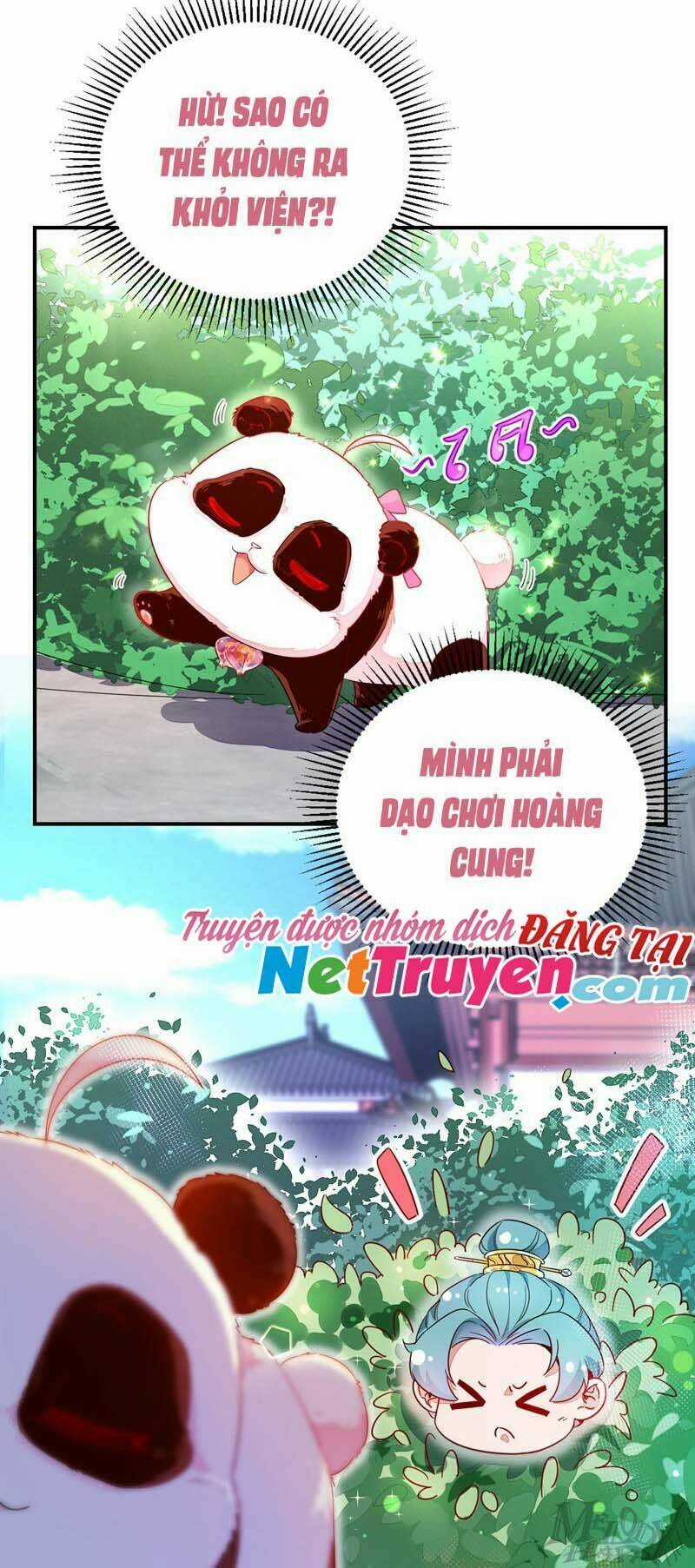 Thiên Thần Gấu Trúc Muốn Được Ôm Chapter 45 trang 13