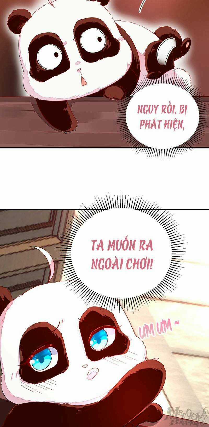 Thiên Thần Gấu Trúc Muốn Được Ôm Chapter 45 trang 6