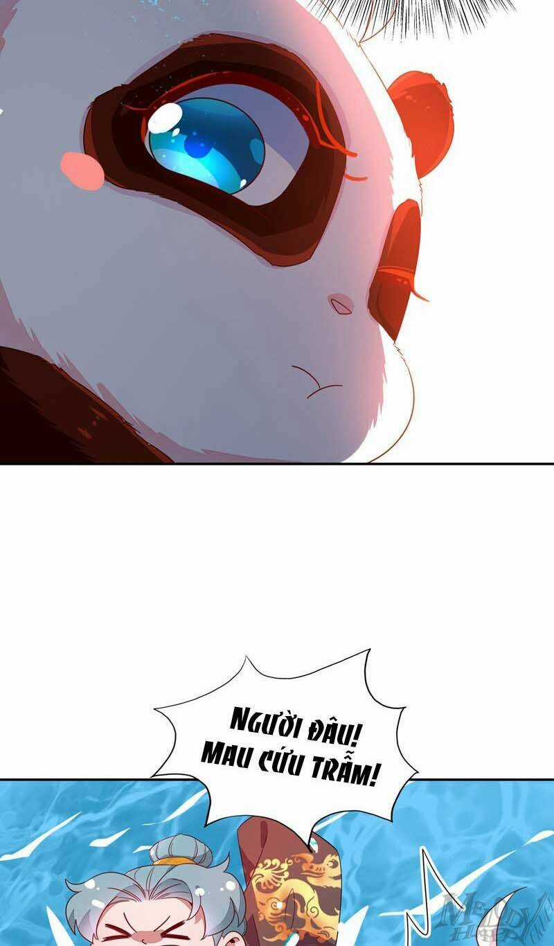 Thiên Thần Gấu Trúc Muốn Được Ôm Chapter 46 trang 16