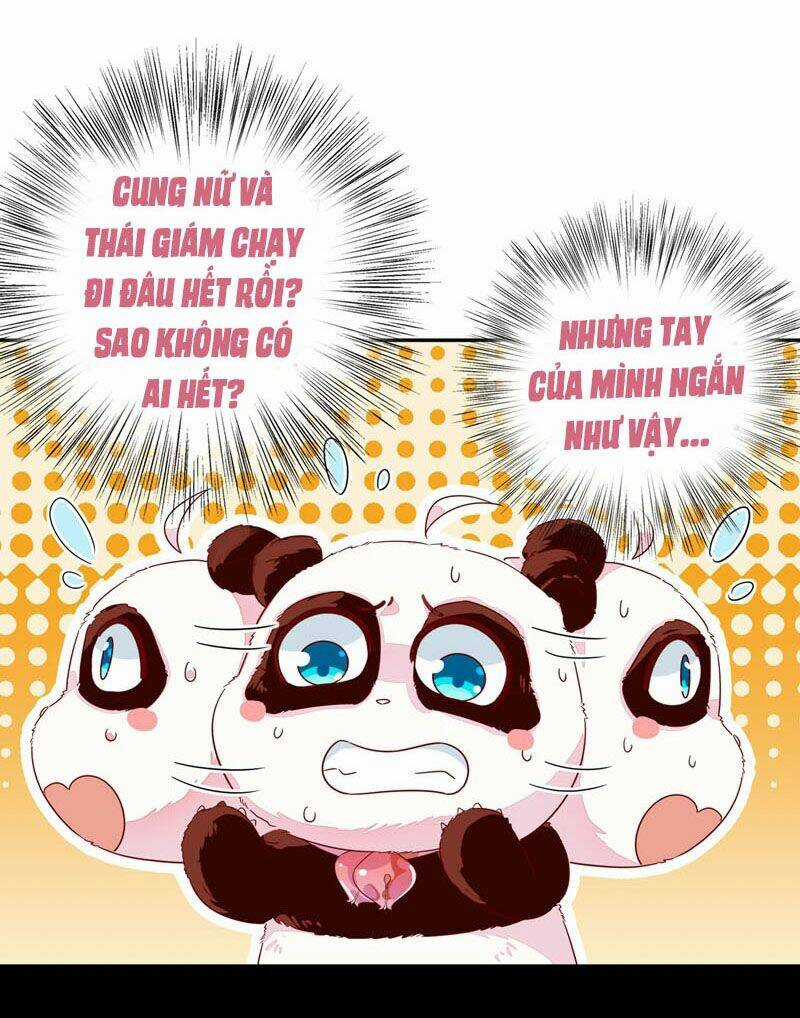 Thiên Thần Gấu Trúc Muốn Được Ôm Chapter 47 trang 2