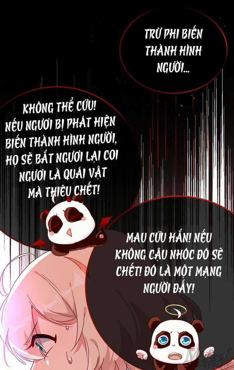 Thiên Thần Gấu Trúc Muốn Được Ôm Chapter 47 trang 3
