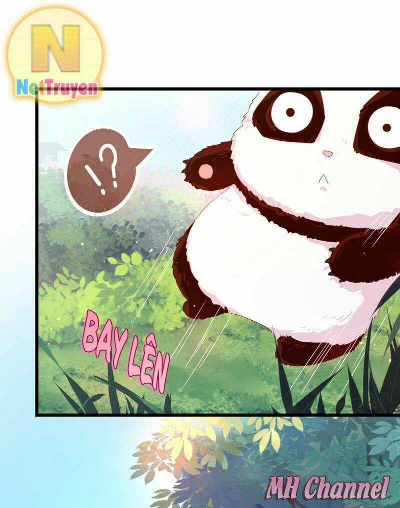 Thiên Thần Gấu Trúc Muốn Được Ôm Chapter 5 trang 13