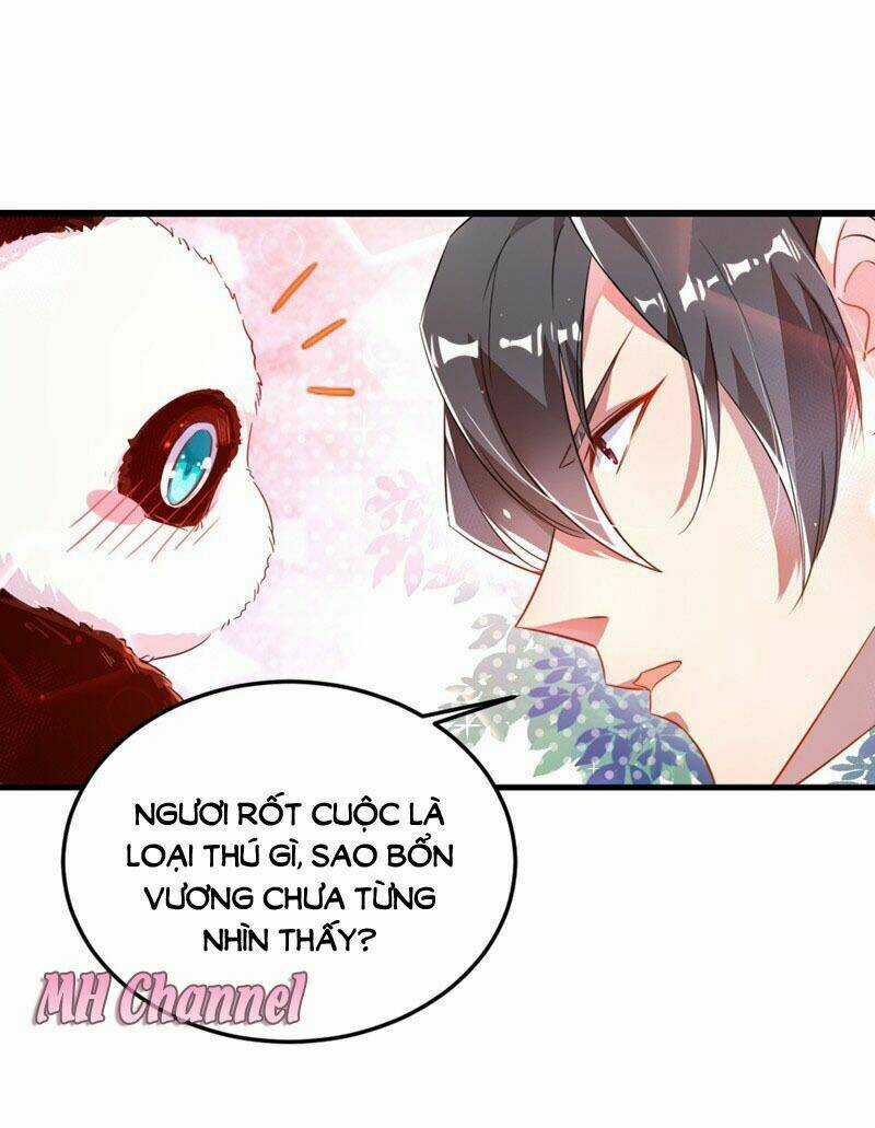 Thiên Thần Gấu Trúc Muốn Được Ôm Chapter 5 trang 15