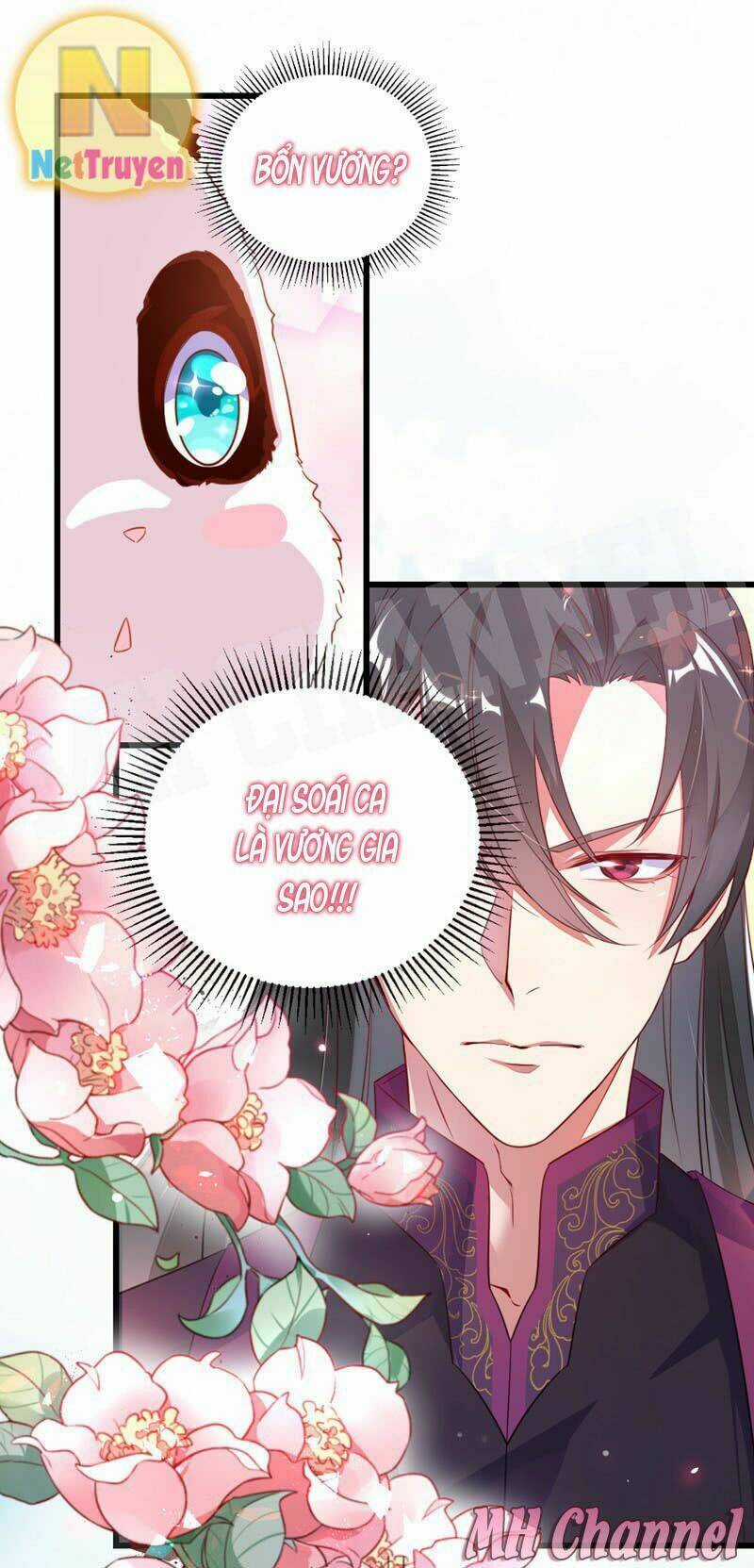 Thiên Thần Gấu Trúc Muốn Được Ôm Chapter 5 trang 16