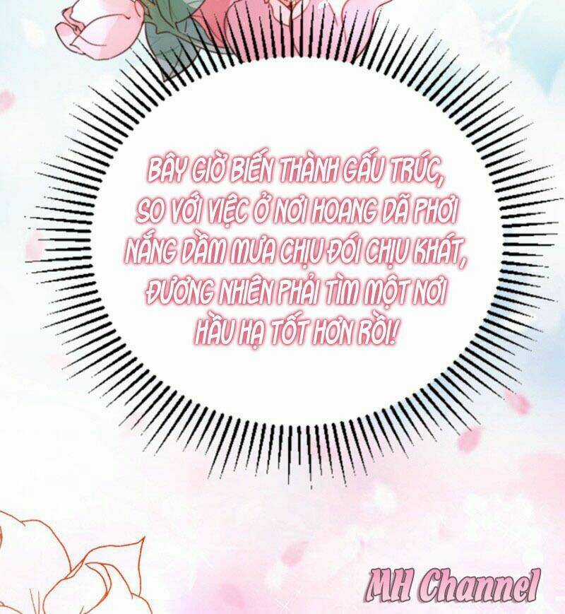 Thiên Thần Gấu Trúc Muốn Được Ôm Chapter 5 trang 17