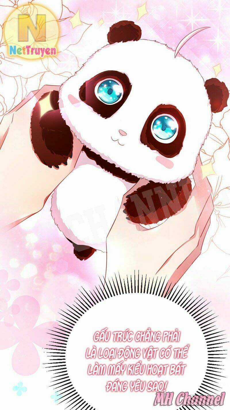 Thiên Thần Gấu Trúc Muốn Được Ôm Chapter 5 trang 18