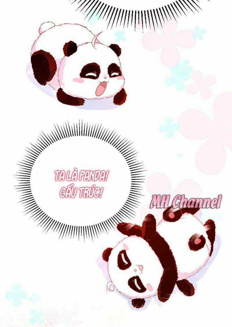 Thiên Thần Gấu Trúc Muốn Được Ôm Chapter 5 trang 19