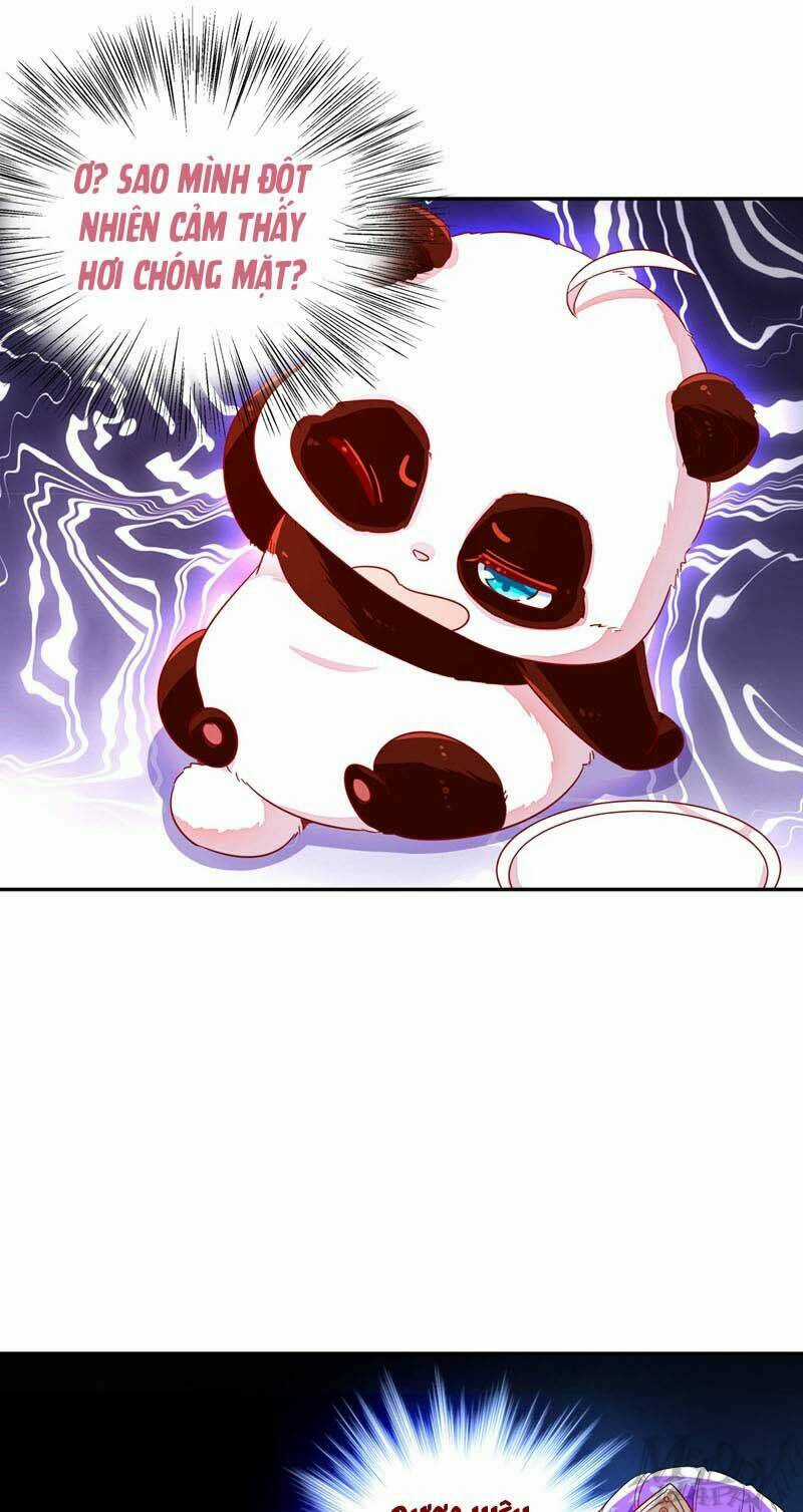 Thiên Thần Gấu Trúc Muốn Được Ôm Chapter 50 trang 24